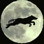 Race the Moon